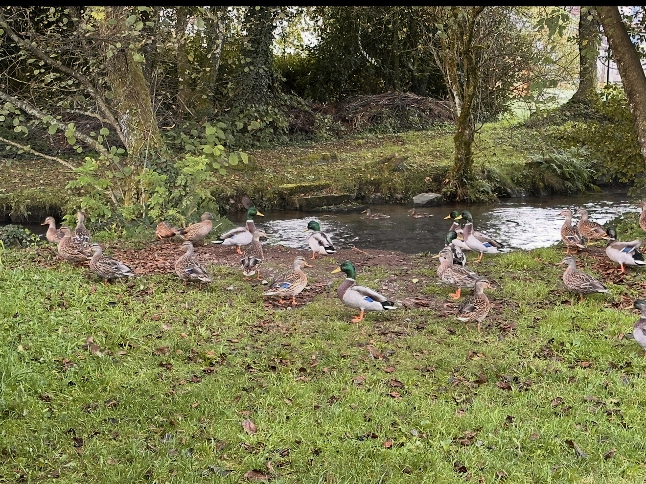 Grande table au bord de la rivière